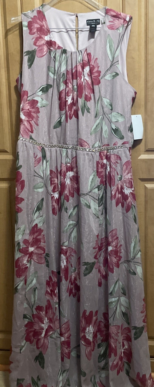 Alexa B Nites Floral Rhinestone Long Dress – Plus Size 20W – Pink